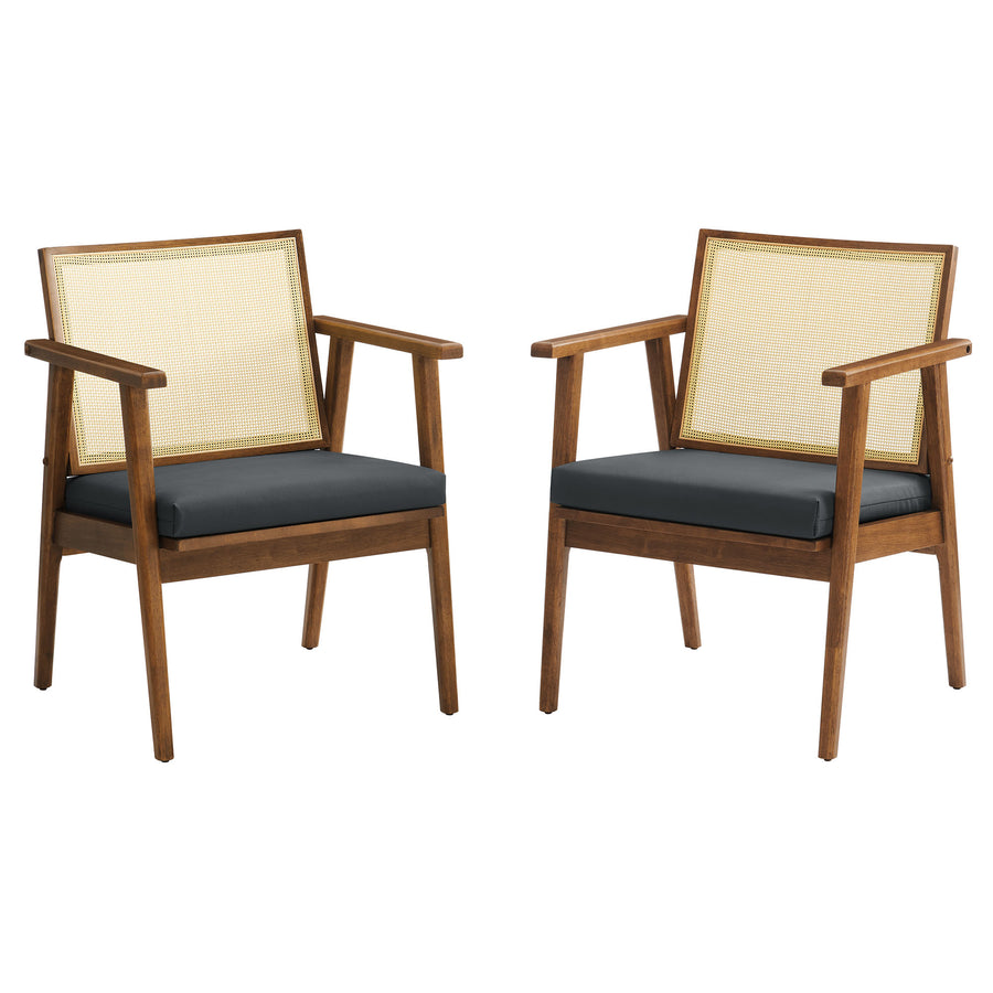 Verdejo Vegan Leather and Cane Accent Armchairs Set of 2 in Walnut Black