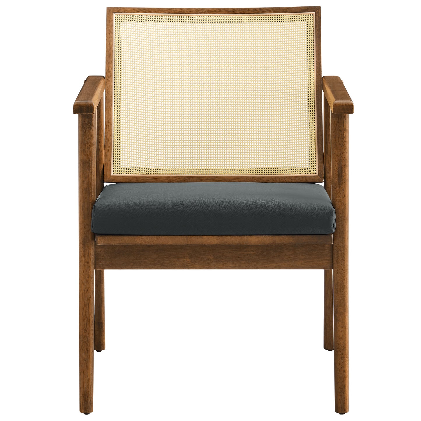 Thera Vegan Leather and Cane Accent Armchairs Set of 2 by Furniture For America