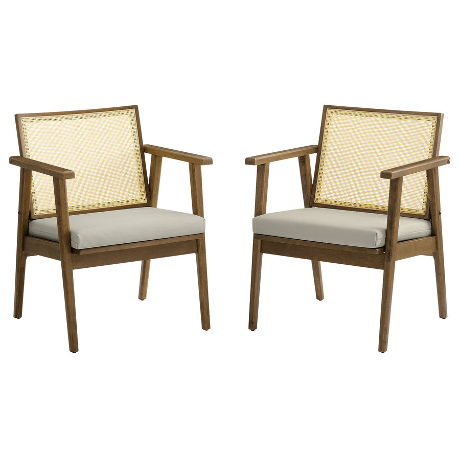 Verdejo Vegan Leather and Cane Accent Armchairs Set of 2 in Weathered Oak Stone