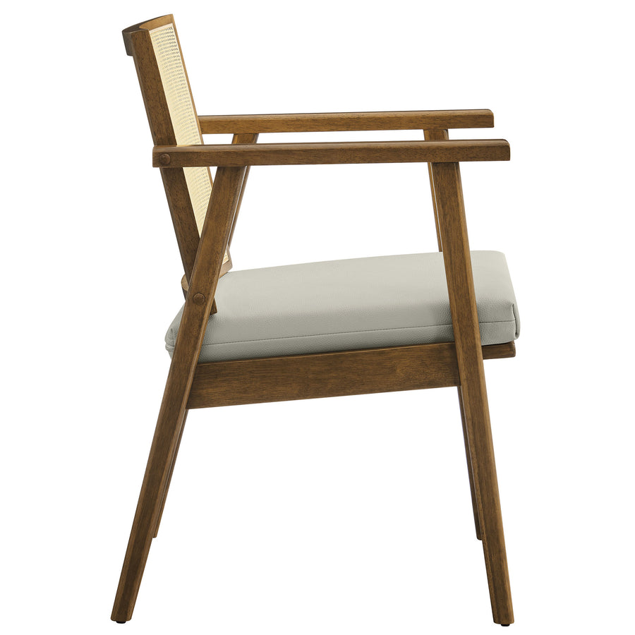 Verdejo Vegan Leather and Cane Accent Armchairs Set of 2 in Weathered Oak Stone