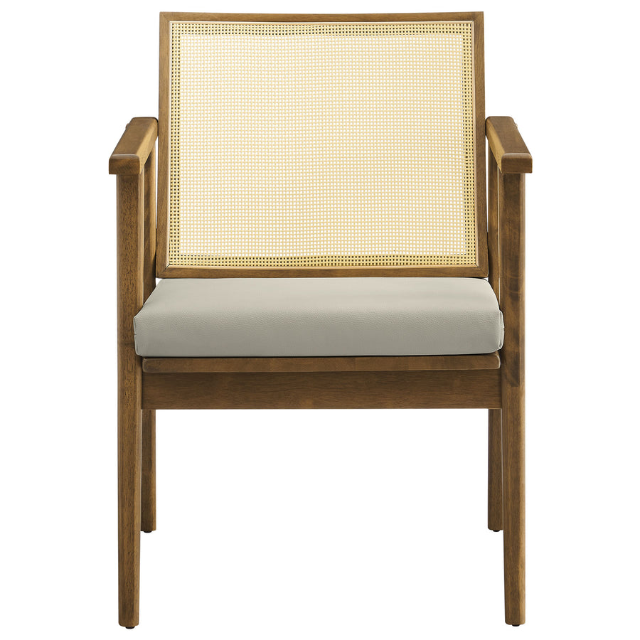 Verdejo Vegan Leather and Cane Accent Armchairs Set of 2 in Weathered Oak Stone