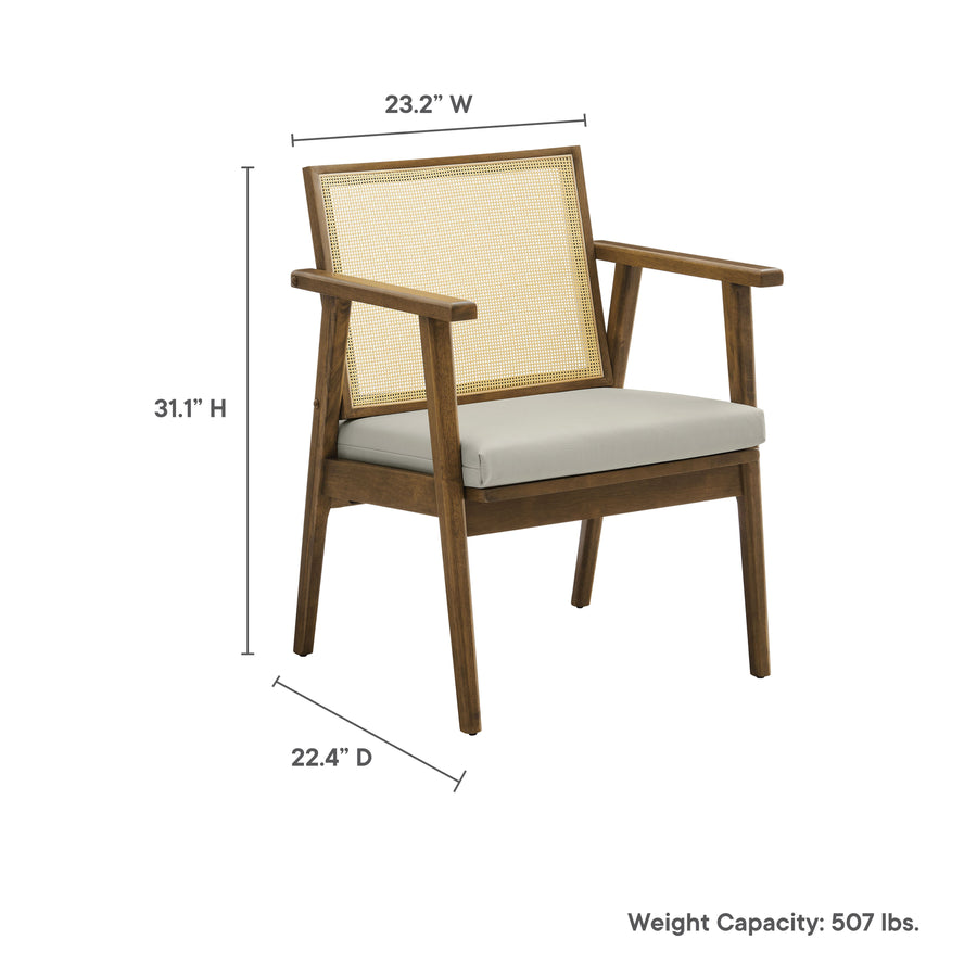 Verdejo Vegan Leather and Cane Accent Armchairs Set of 2 in Weathered Oak Stone