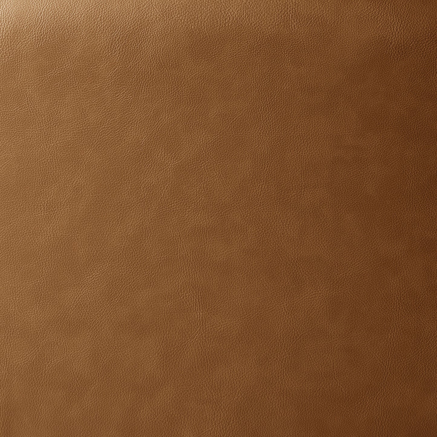 Revive Upholstered Vegan Leather Loveseat by Furniture for America