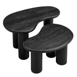 Celandine Mango Wood Nesting Coffee Table Set in Black