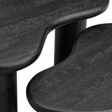 Celandine Mango Wood Nesting Coffee Table Set in Black