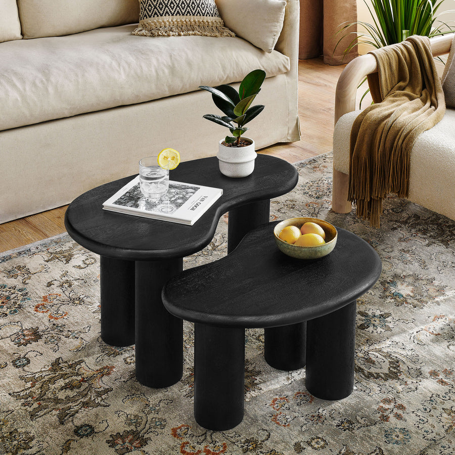 Celandine Mango Wood Nesting Coffee Table Set in Black