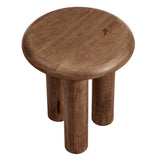 Lochlan Mango Wood Side Table in Walnut