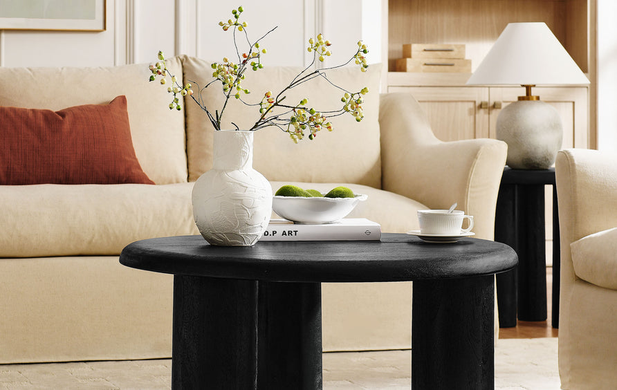 Lochlan Round Mango Wood Coffee Table in Black