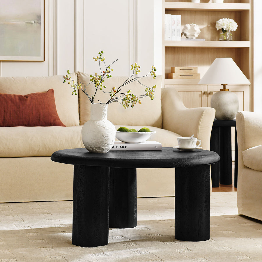 Lochlan Round Mango Wood Coffee Table in Black