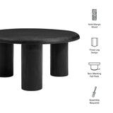 Lochlan Round Mango Wood Coffee Table in Black