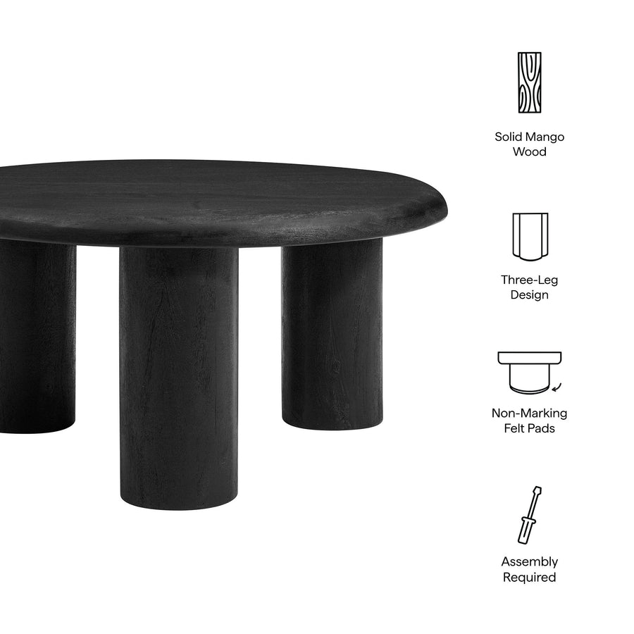 Lochlan Round Mango Wood Coffee Table in Black