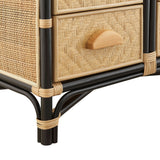Valerian 71 Inch Tall Arched Natural Rattan Bookshelf in Natural Black