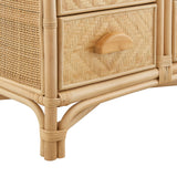 Valerian 71 Inch Tall Arched Natural Rattan Bookshelf in Natural