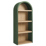 Ffion 4 Arched Display Shelf Bookcase in Hunter Green