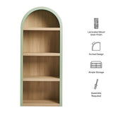 Ffion 4 Arched Display Shelf Bookcase in Sage