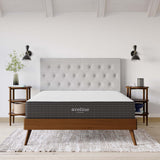 Juno 10" Queen Mattress, Mattresses