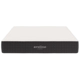 Juno 10" Queen Mattress, Mattresses