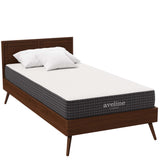 Juno 8" Twin Mattress, Mattresses