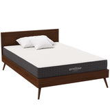 Juno 8" Full Mattress, Mattresses