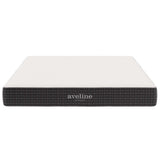 Juno 8" Queen Mattress, Mattresses