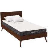 Juno 6" Twin Mattress, Mattresses
