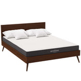 Juno 6" Queen Mattress, Mattresses