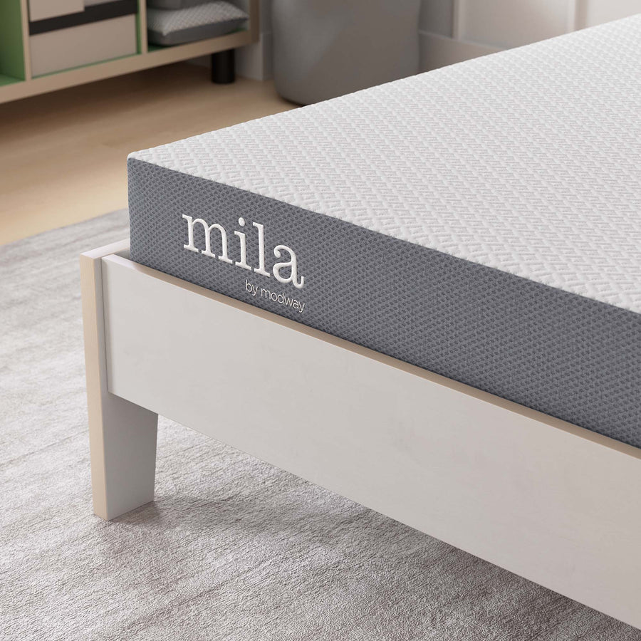Birch 6" Twin Mattress, Mattresses