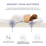 Birch 6" Queen Mattress, Mattresses