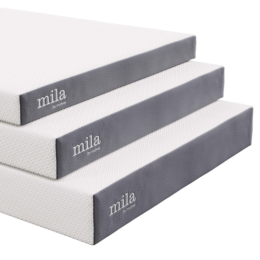 Birch 6" Queen Mattress, Mattresses