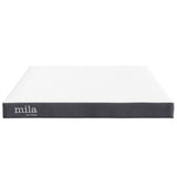 Birch 6" Queen Mattress, Mattresses