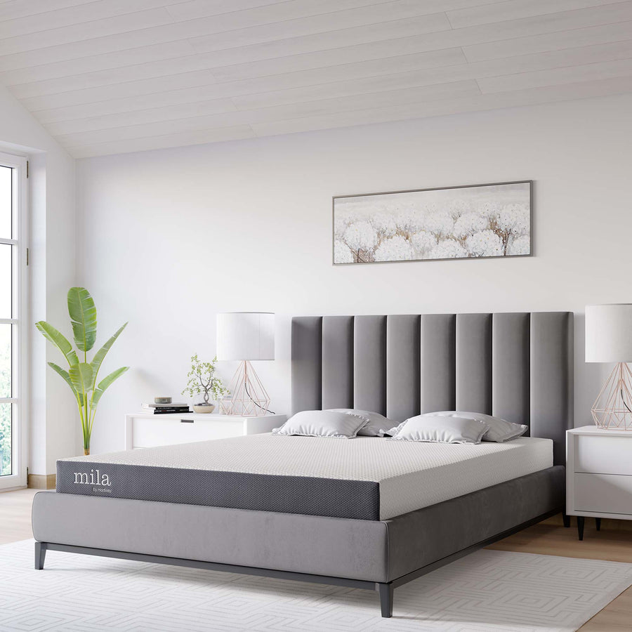Birch 6" King Mattress, Mattresses