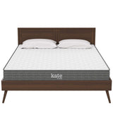 Orion 6" Queen Mattress, Mattresses