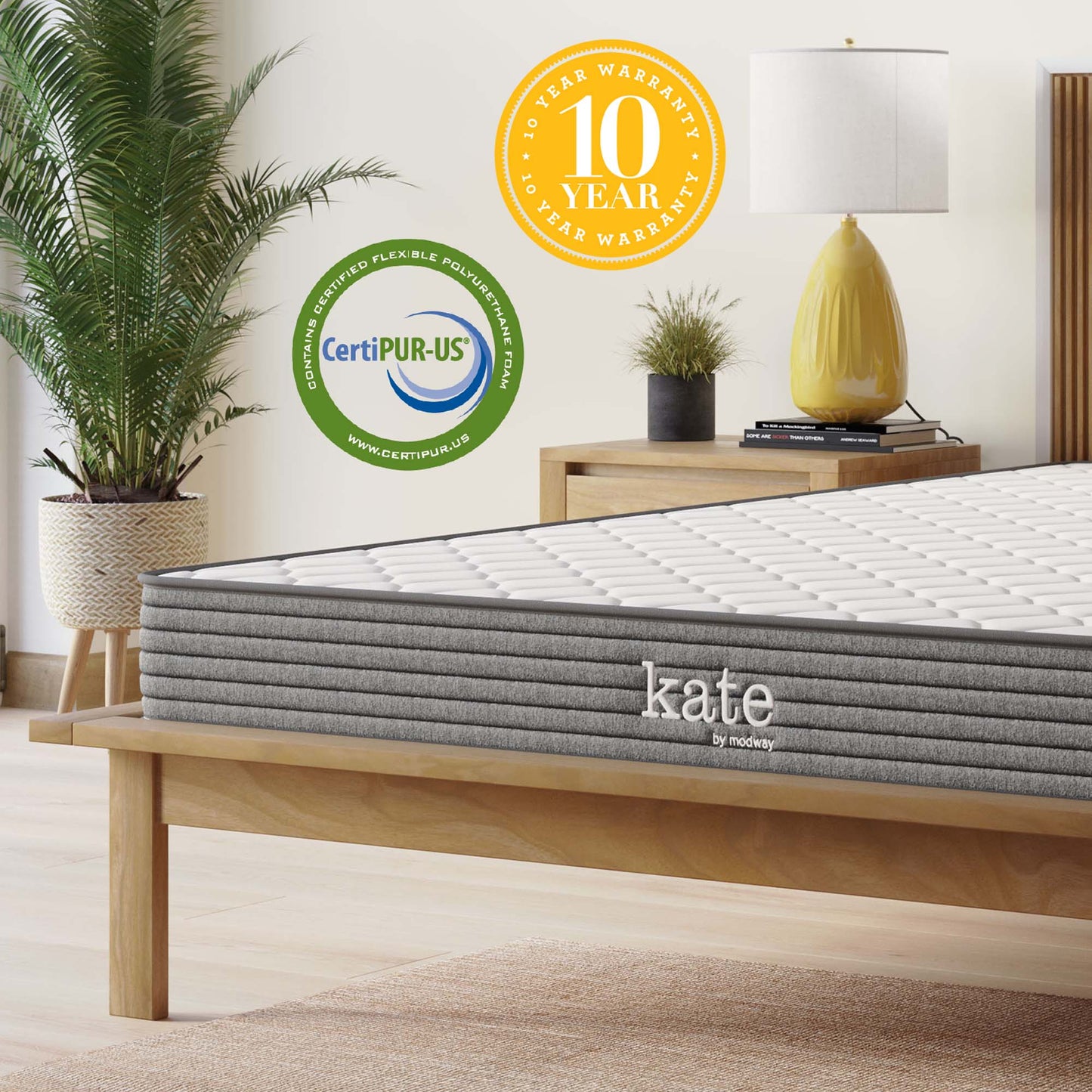 Kate 6" King Mattress by Furniture for America
