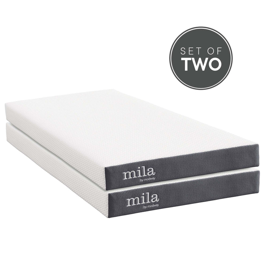Birch 6" Foam Twin Mattress Set of 2 in White