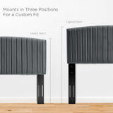 Fiora Performance Velvet Twin Headboard in Charcoal