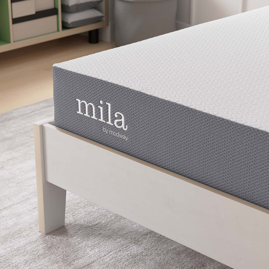 Birch 8" Twin Mattress, Mattresses