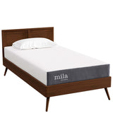 Birch 8" Twin Mattress, Mattresses
