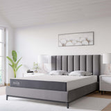Birch 8" Queen Mattress, Mattresses