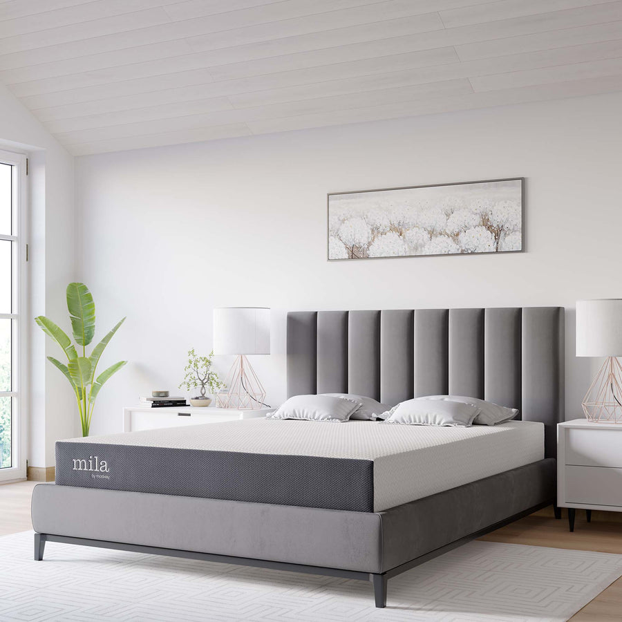 Birch 8" Queen Mattress, Mattresses