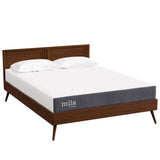 Birch 8" Queen Mattress, Mattresses