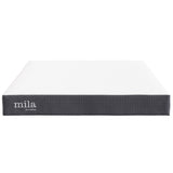 Birch 8" Queen Mattress, Mattresses