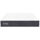 Birch 10" Queen Mattress, Mattresses