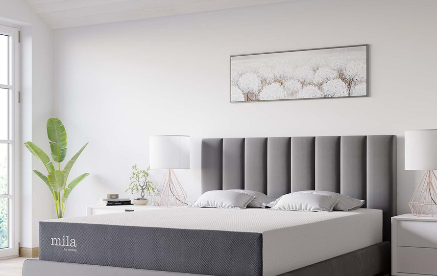 Birch 10" King Mattress, Mattresses