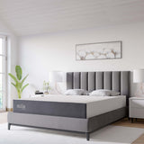 Birch 10" King Mattress, Mattresses
