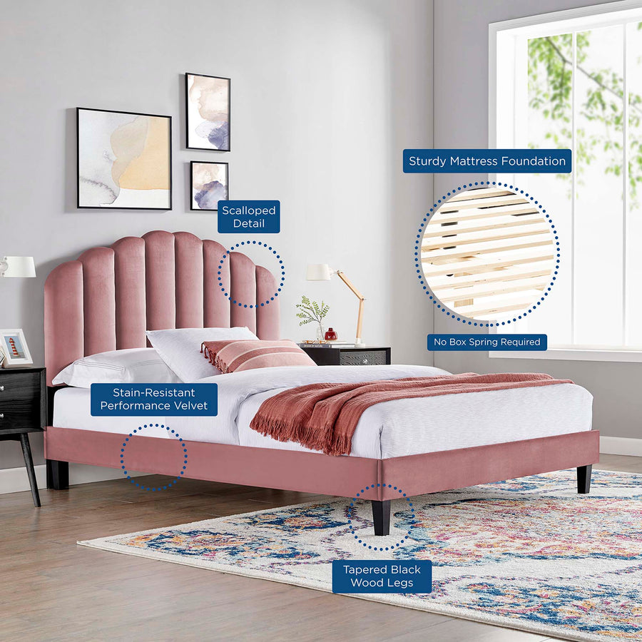 Dome Tapered Wood Leg Performance Velvet Queen Platform Bed in Dusty Rose