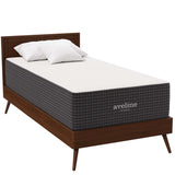 Juno 14" Memory Foam Twin Mattress in White
