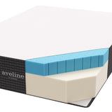 Juno 14" Memory Foam Full Mattress in White