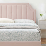 Cypress Performance Velvet Queen Platform Bed in Pink