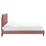 Vega Performance Velvet Queen Platform Bed in Dusty Rose