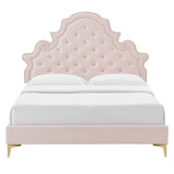 Tatum Tufted Performance Velvet Queen Platform Bed in Pink